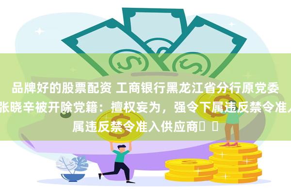 品牌好的股票配资 工商银行黑龙江省分行原党委书记、行长张晓辛被开除党籍：擅权妄为，强令下属违反禁令准入供应商⋯⋯