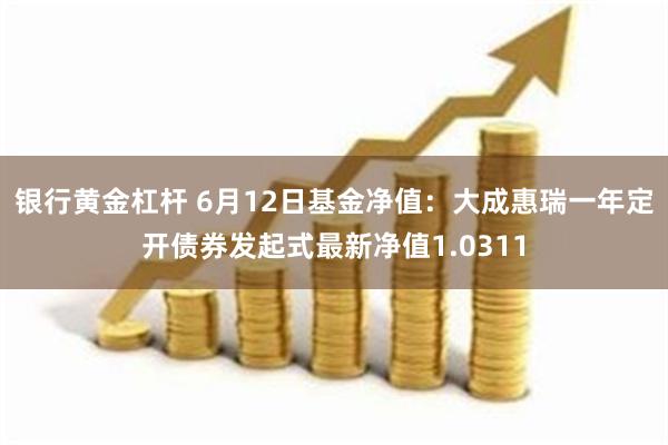 银行黄金杠杆 6月12日基金净值：大成惠瑞一年定开债券发起式最新净值1.0311