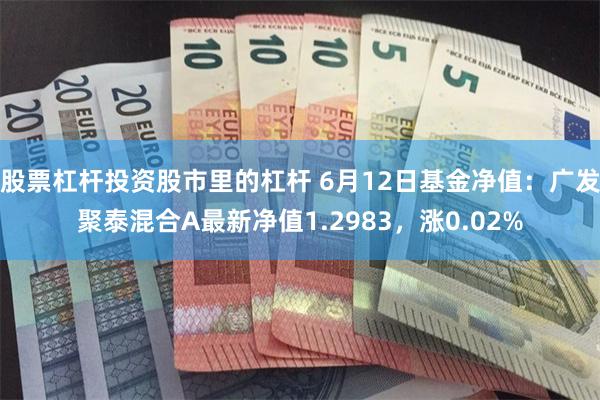 股票杠杆投资股市里的杠杆 6月12日基金净值：广发聚泰混合A最新净值1.2983，涨0.02%