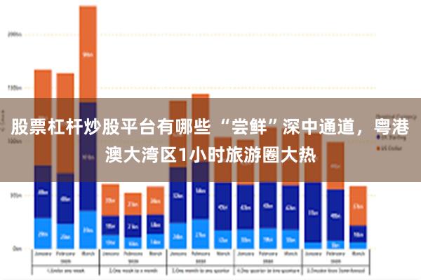 股票杠杆炒股平台有哪些 “尝鲜”深中通道，粤港澳大湾区1小时旅游圈大热