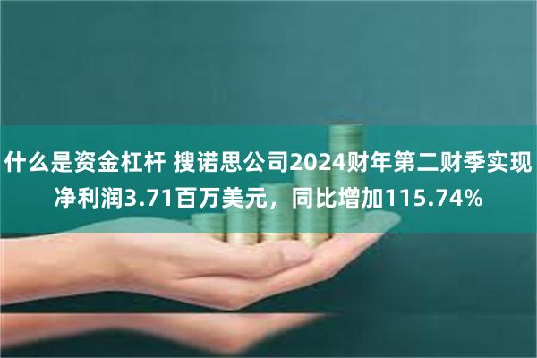 什么是资金杠杆 搜诺思公司2024财年第二财季实现净利润3.71百万美元，同比增加115.74%