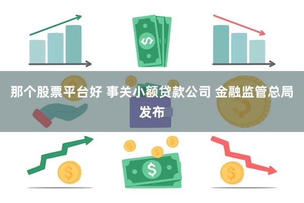 那个股票平台好 事关小额贷款公司 金融监管总局发布