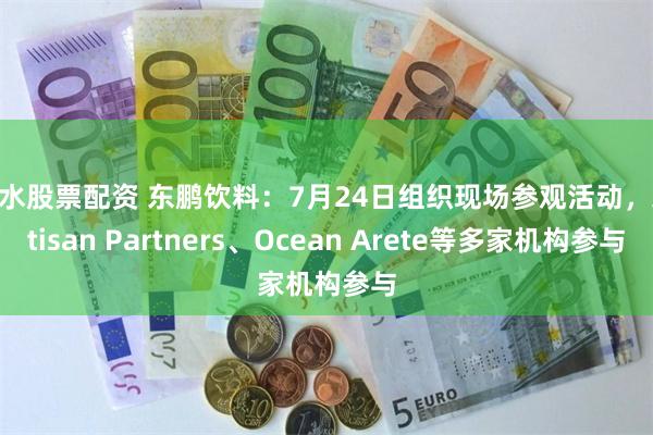 丽水股票配资 东鹏饮料：7月24日组织现场参观活动，Artisan Partners、Ocean Arete等多家机构参与