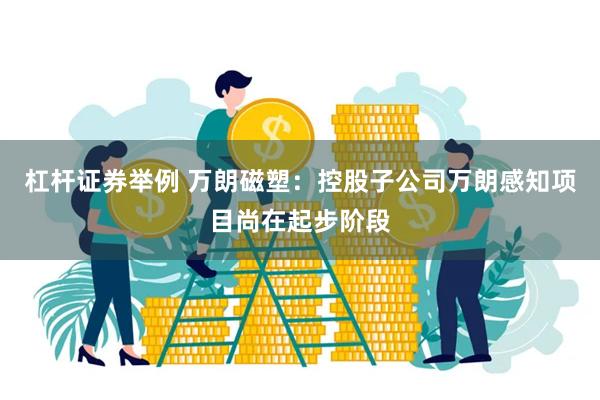 杠杆证券举例 万朗磁塑：控股子公司万朗感知项目尚在起步阶段