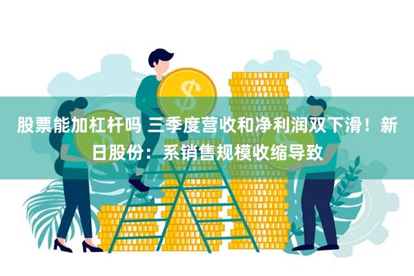 股票能加杠杆吗 三季度营收和净利润双下滑！新日股份：系销售规模收缩导致