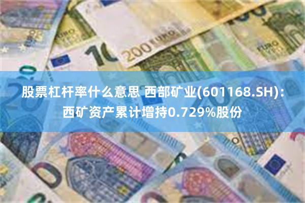 股票杠杆率什么意思 西部矿业(601168.SH)：西矿资产累计增持0.729%股份